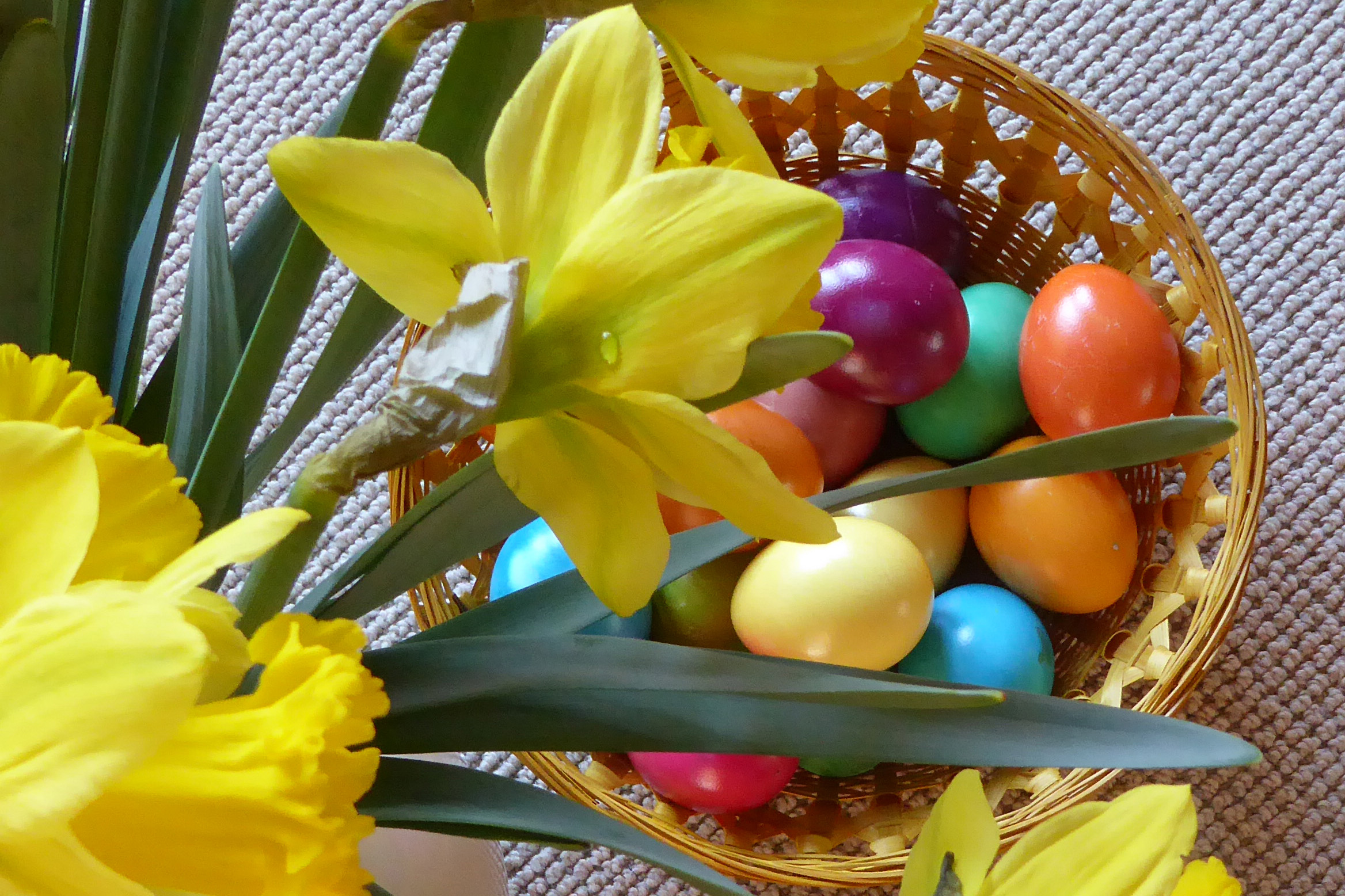 Osterbild Narzissen mit Ostereier