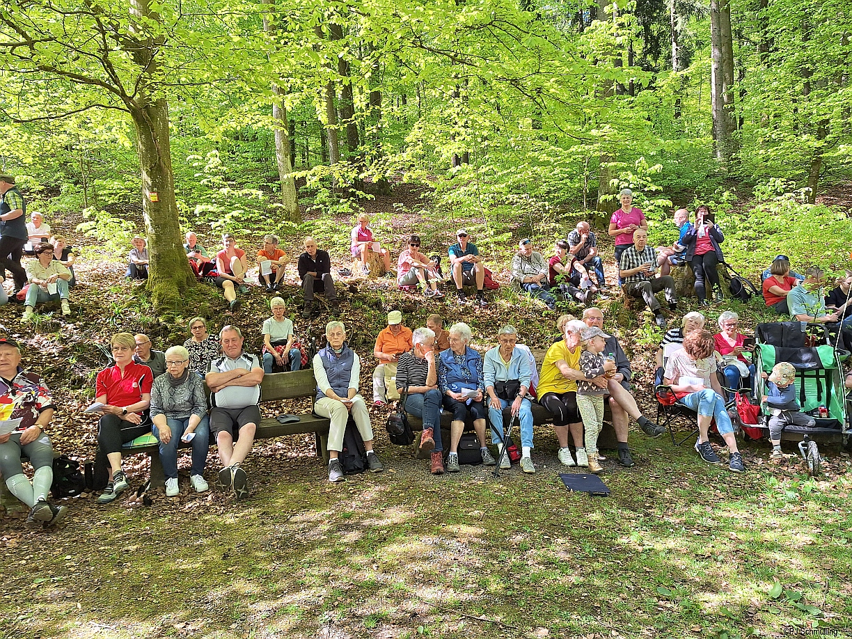 Gang zur Waldkapelle 2025 (c) Paul-Joachim Schmülling