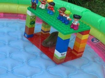 Playmobilmännchen im Pool