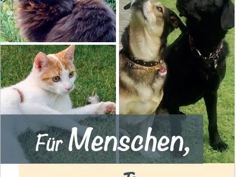 Flyer Für Menschen, die um ein Tier trauern.