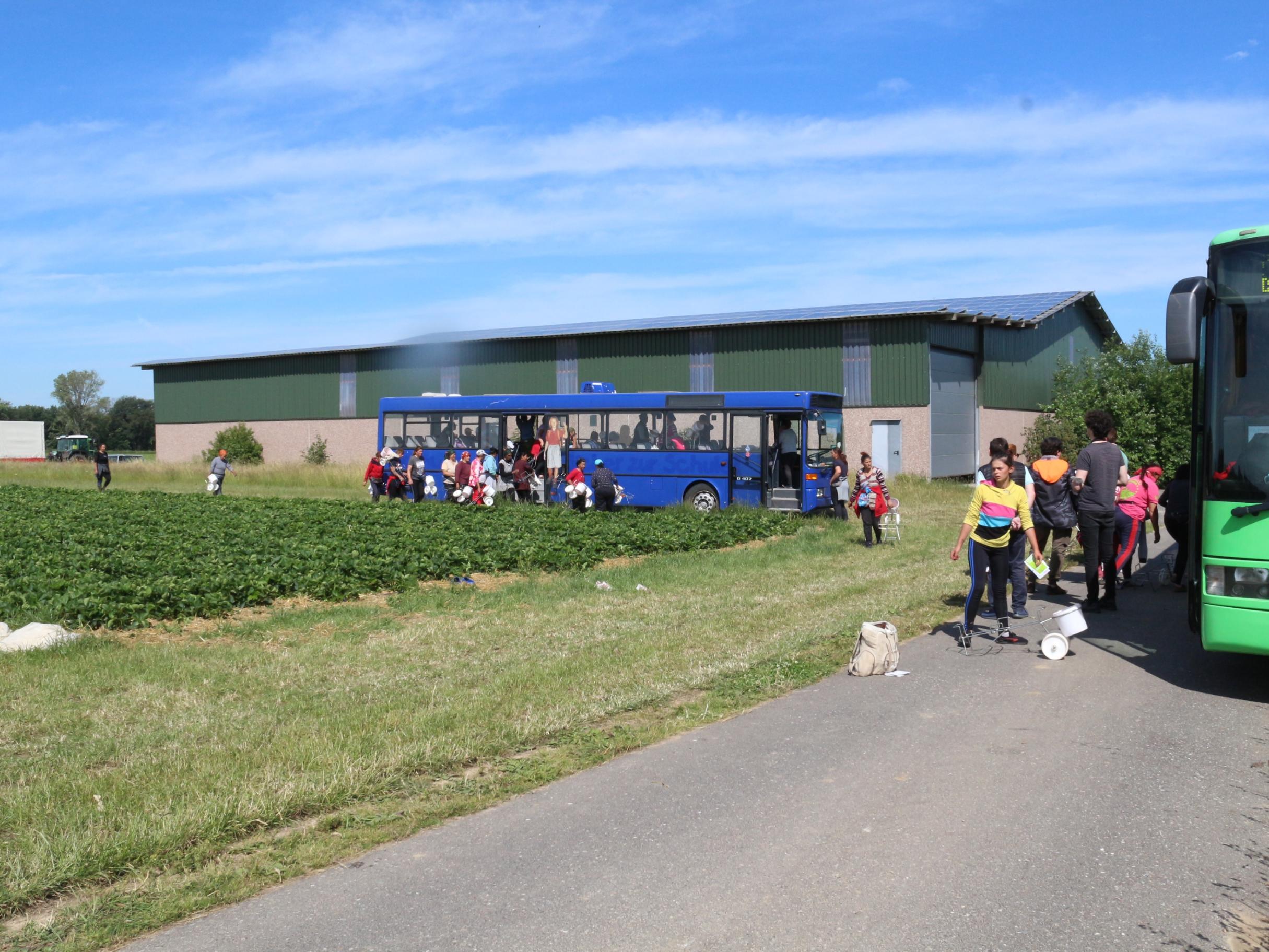 Im Gespräch mit Erntearbeitern im Kreis Heinsberg