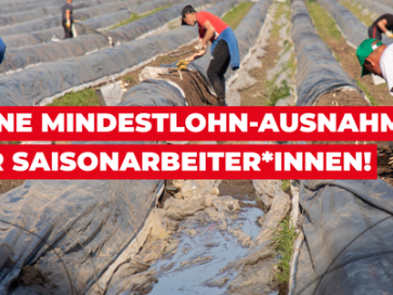 Initiative Faire Landwirtschaft - Petitionsbild (1)